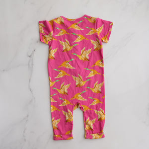 Cheeky Chickadee Romper (2Y)