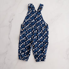 Load image into Gallery viewer, Pumpkin Patch Overalls (12-18M)
