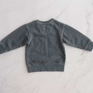 Beau Hudson Jumper (6-12M)