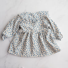 Load image into Gallery viewer, Blue Flower Plush Dress (3Y)
