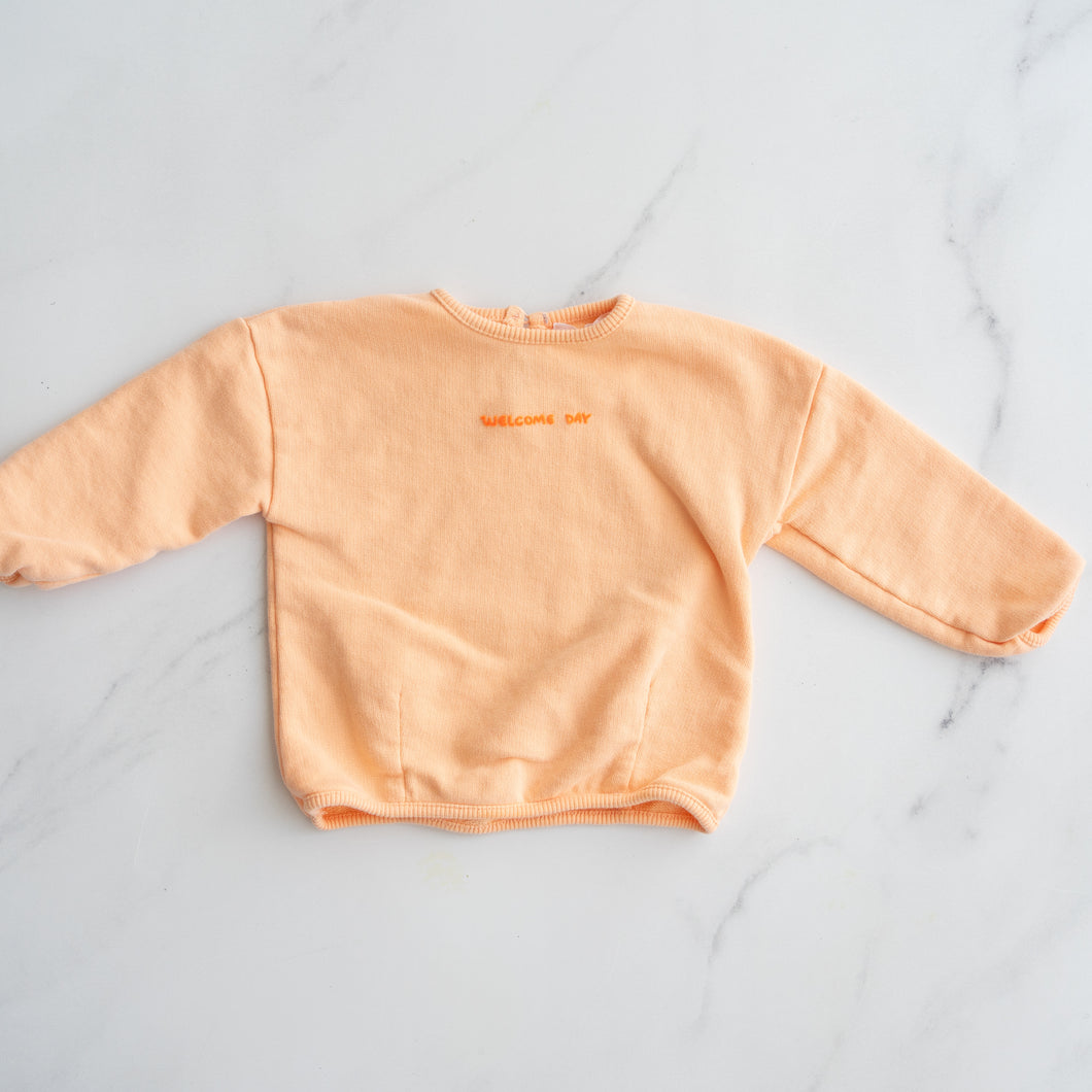 Zara Peach Jumper (3-6M)