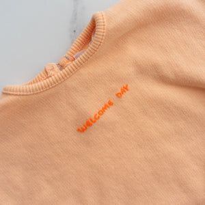 Zara Peach Jumper (3-6M)