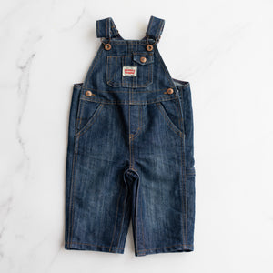 Levi's Overalls (12M)